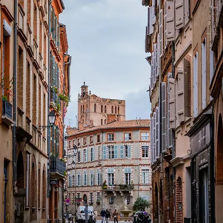 Appartement Luxueux Et Fleuri A Toulouse, Capitole Exterior photo