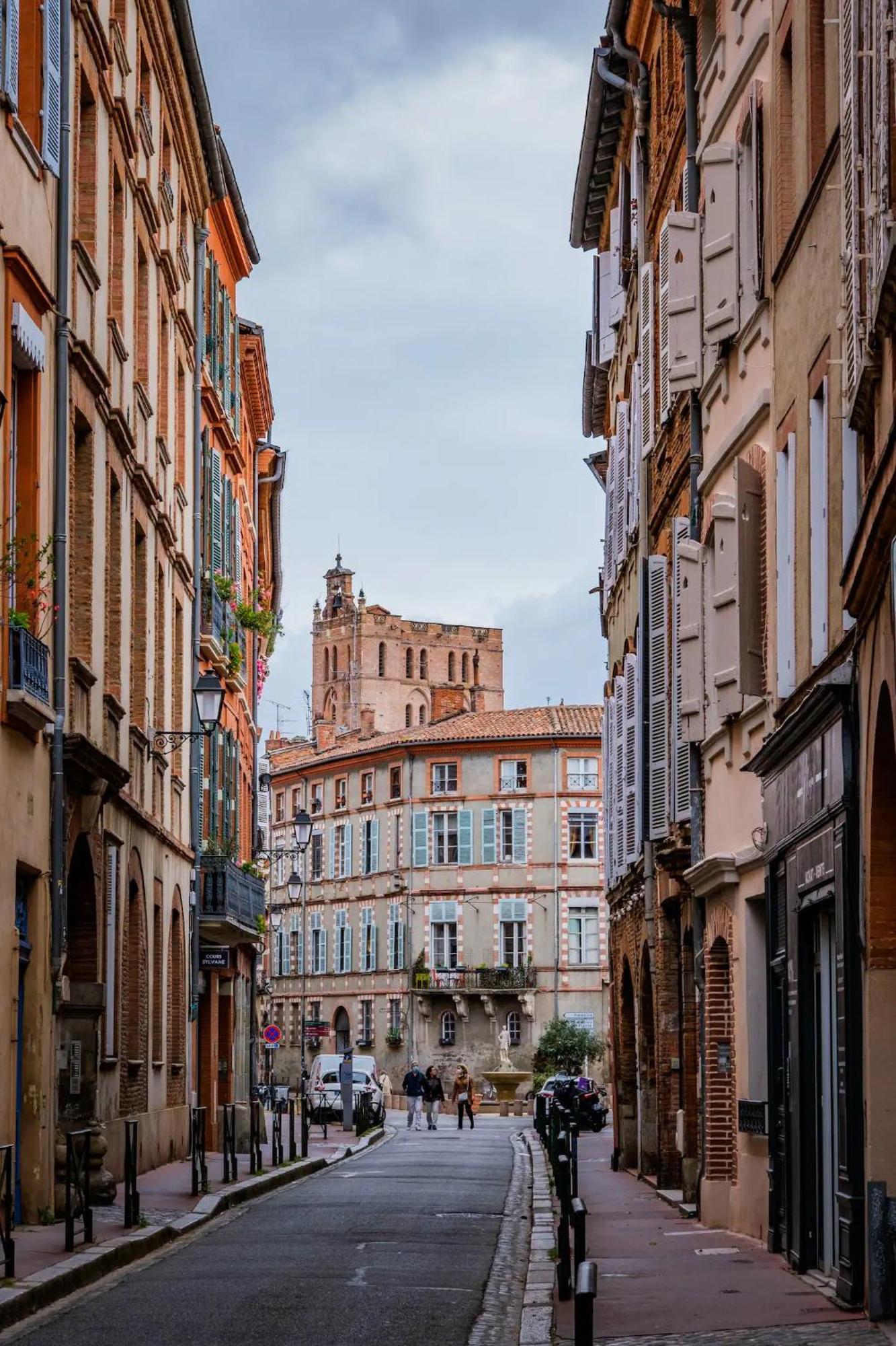 Luxueux Et Fleuri A Toulouse, Capitole Apartment *